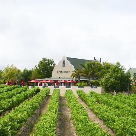 Skilpadvlei Wine Farm Stellenbosch Kültér fotó