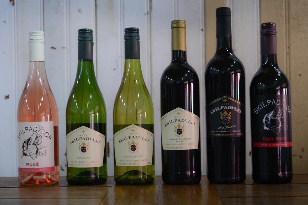 Skilpadvlei Wine Farm Stellenbosch Kültér fotó