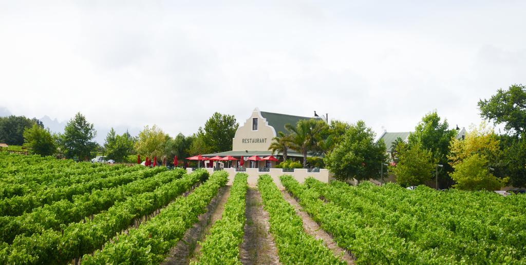 Skilpadvlei Wine Farm Stellenbosch Kültér fotó