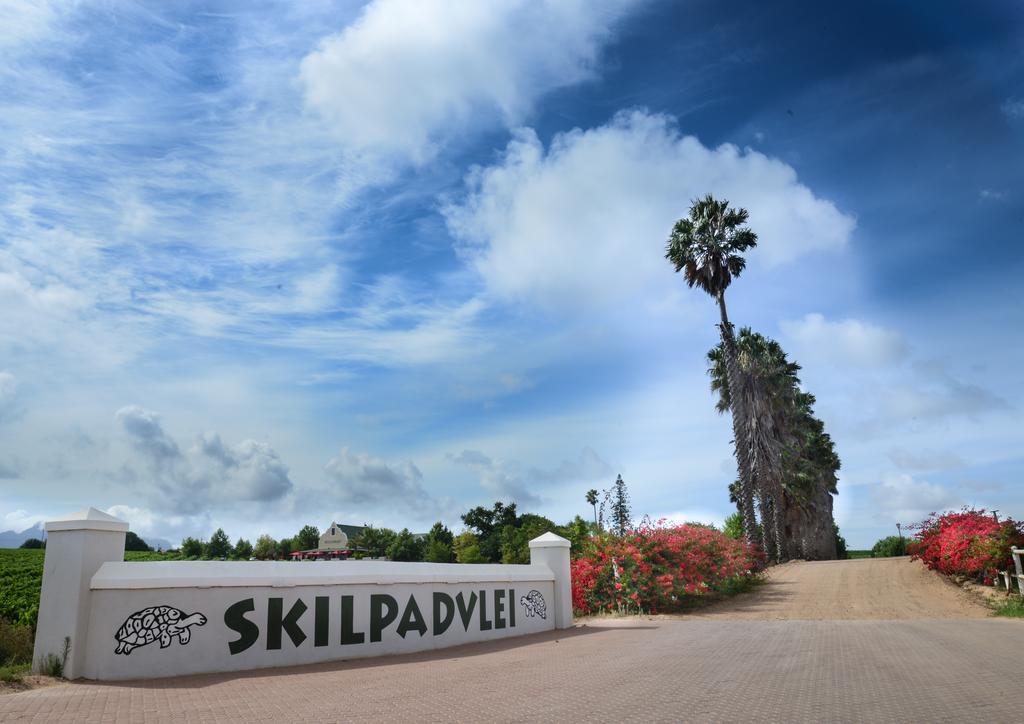Skilpadvlei Wine Farm Stellenbosch Kültér fotó