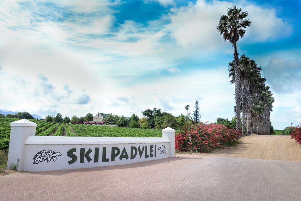 Skilpadvlei Wine Farm Stellenbosch Kültér fotó